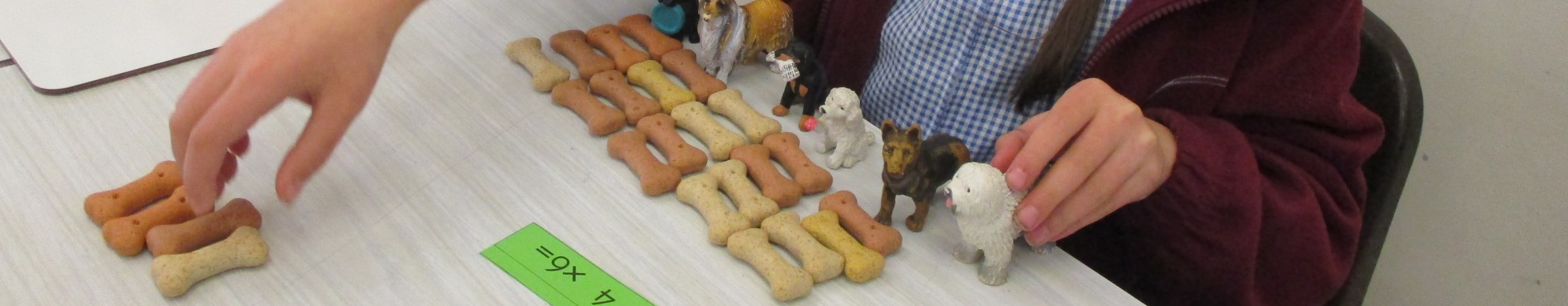&nbsp;